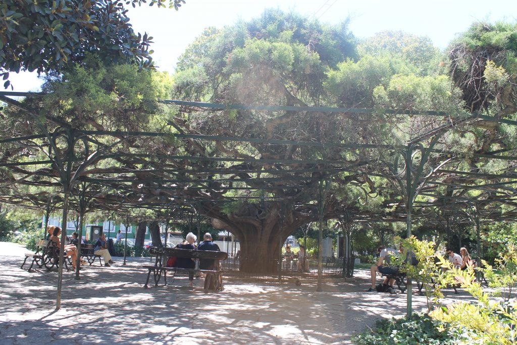 Park i Lissabon