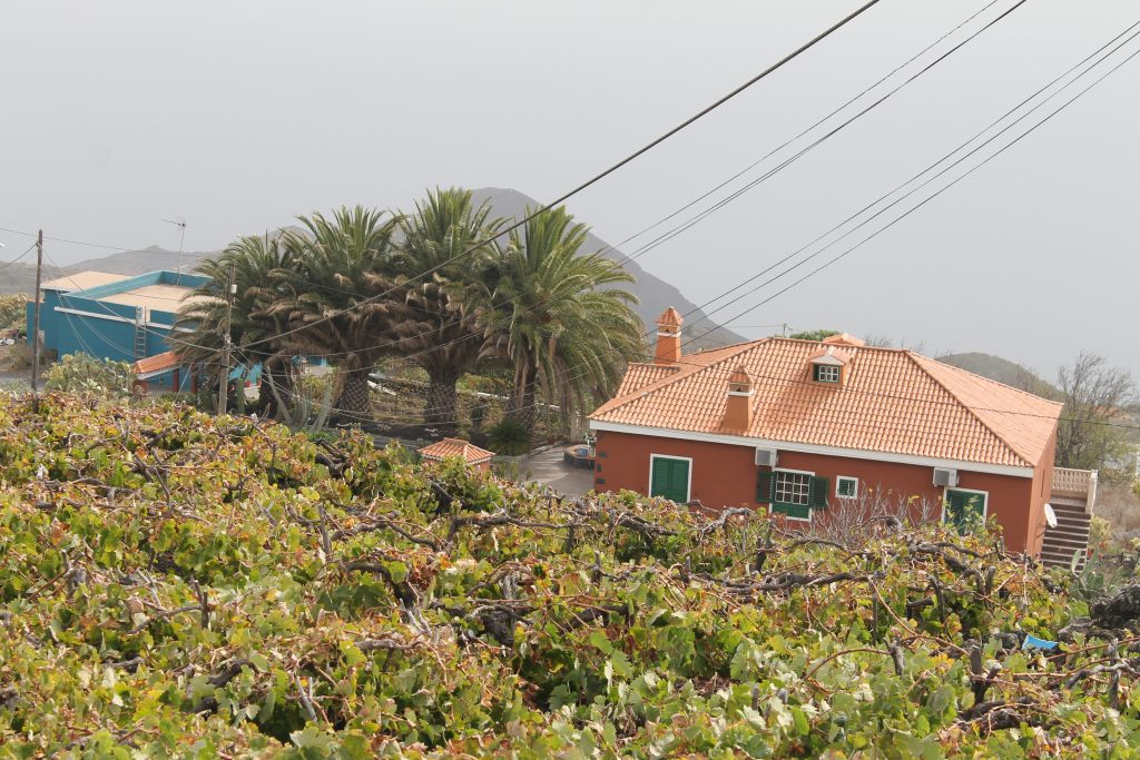 Vin på jorden, La Palma