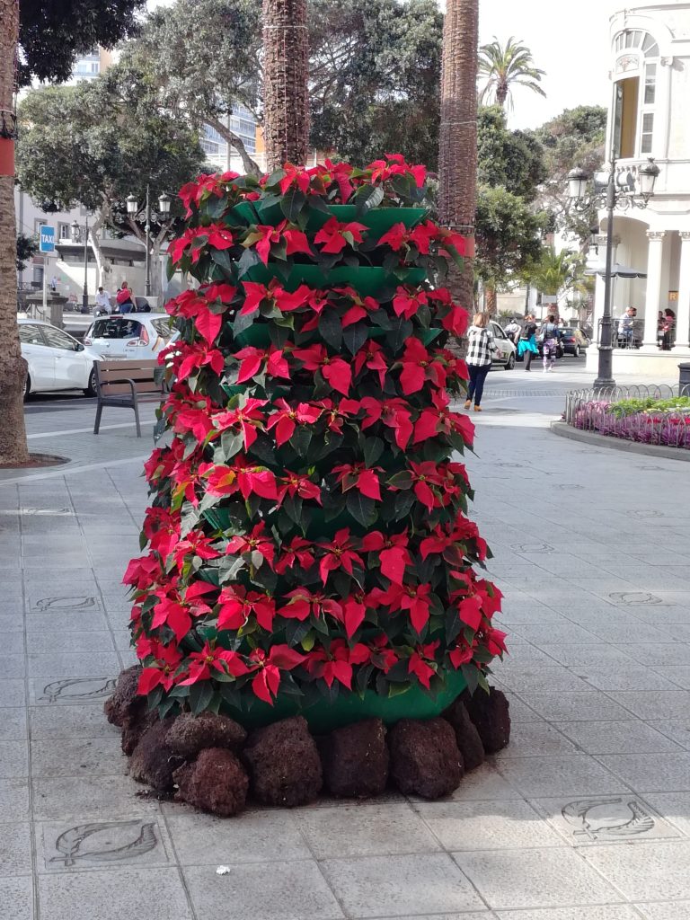 Jul i Las Palmas