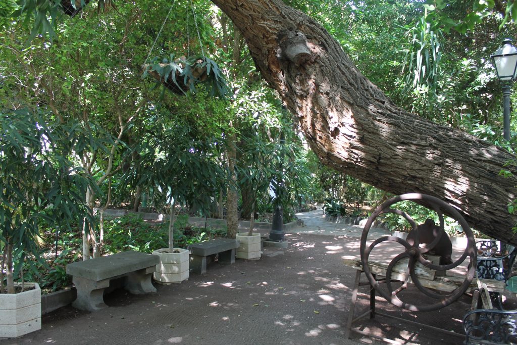 Botanisk Have i Agaete