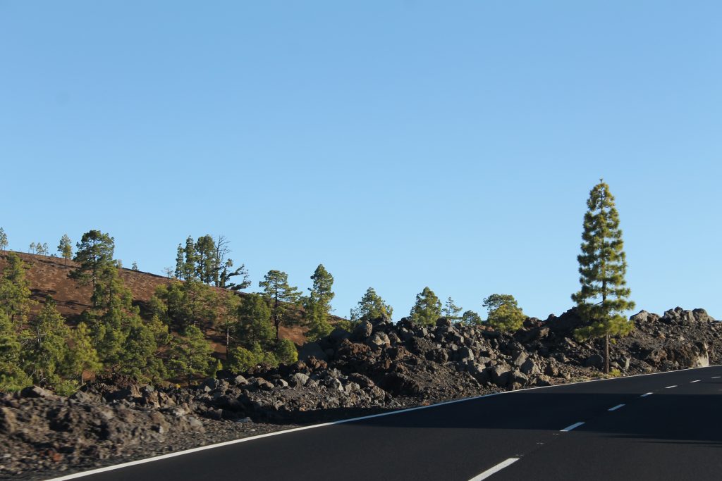 Køretur på Tenerife
